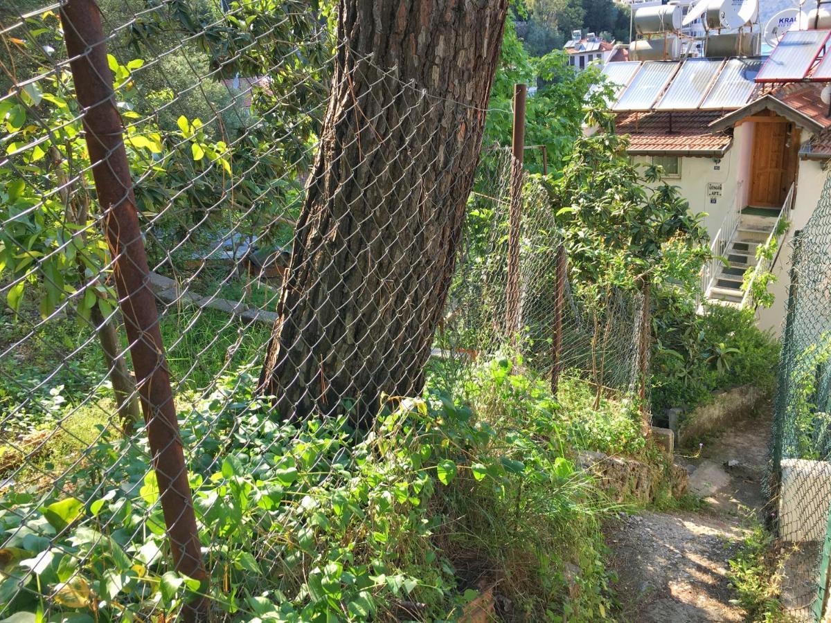 Home Dream View - Fethiye Centre Εξωτερικό φωτογραφία